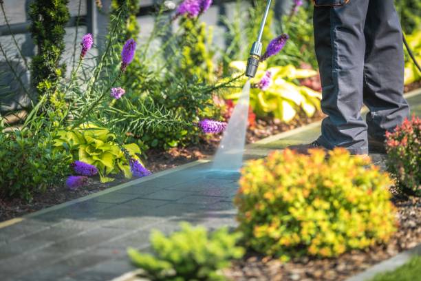 Best Animal Enclosure Cleaning  in Williams, AZ