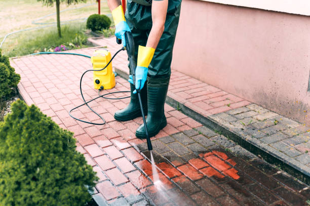 Best Graffiti Removal  in Williams, AZ